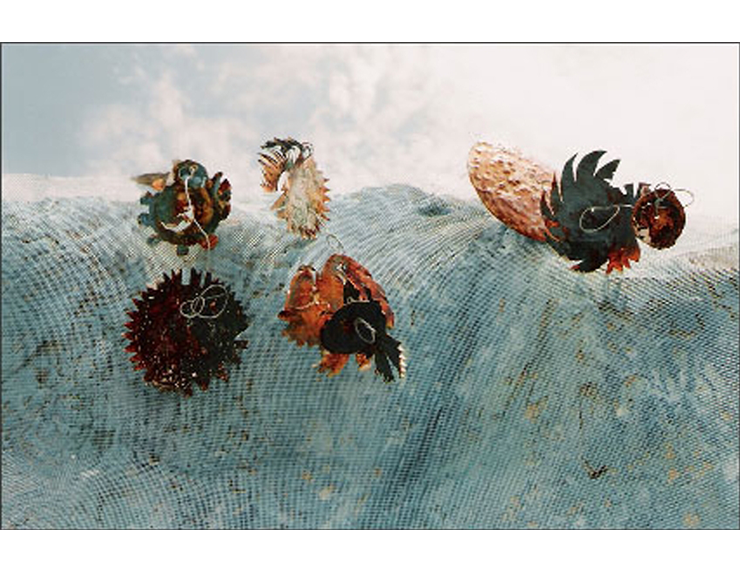 Due Parti del Cielo - Particolare